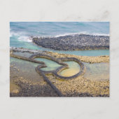 Zwei Herzen Postkarte (Vorderseite)