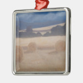 Zwei Heu-Ballen 2012 2 Silbernes Ornament (Links)