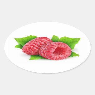 Zwei Himbeeren mit Blätter Ovaler Aufkleber