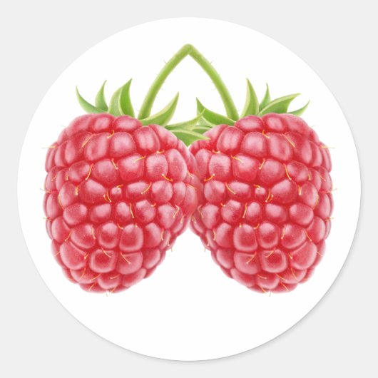 Zwei Himbeeren Runder Aufkleber (Vorderseite)