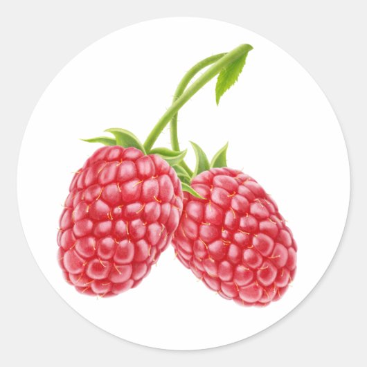 Zwei Himbeeren Runder Aufkleber (Vorderseite)