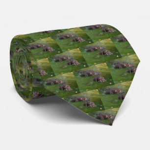 Zwei Hippos im Teich schwimmen, Neck Tie Krawatte