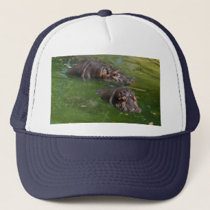 Zwei Hippos im Teich schwimmen, Truckerkappe