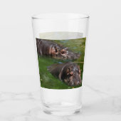 Zwei Hippos in einem Teich, Glas trinken (Vorderseite)