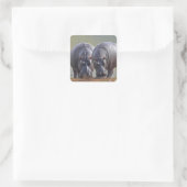 Zwei Hippos Quadratischer Aufkleber (Tasche)