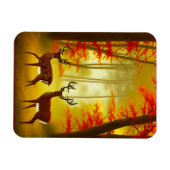 Zwei Hirsche in einem Herbstwald / Wald Magnet (Horizontal)