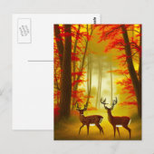 Zwei Hirsche in einem Herbstwald / Wald Postkarte (Vorne/Hinten)