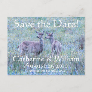 Zwei Hirsche Save the Date Postkarte