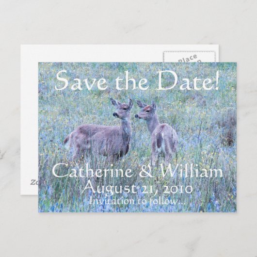 Zwei Hirsche Save the Date Postkarte (Vorne/Hinten)