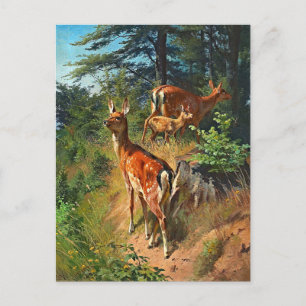 Zwei Hirsche und Niedliche Tiere im Wald Postkarte
