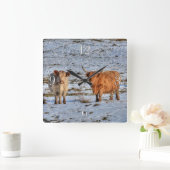 Zwei Hochlandrinder im Winterschnee auf der Wall-U Quadratische Wanduhr (Zuhause)