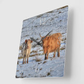 Zwei Hochlandrinder im Winterschnee auf der Wall-U Quadratische Wanduhr (Winkel)