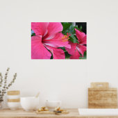 Zwei Hot-Pink-Hibisken Poster (Küche)