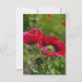 Zwei Hübsche Opium Poppies Mitteilungskarte
