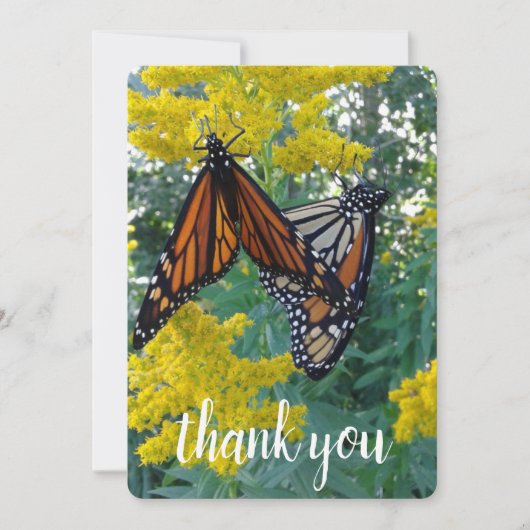 Zwei hübsche Schmetterlinge Dankeskarte (Vorderseite)