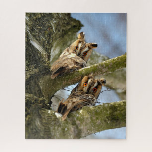 Zwei Hügel im Wald, Vögel, Wildtiere Jigsaw Puzz Puzzle