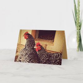 Zwei Hühner Cuddling Karte