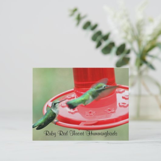 ZWEI HUMMERS, Ruby Red Throat Hummingbirds Postkarte (Stehend Vorderseite)