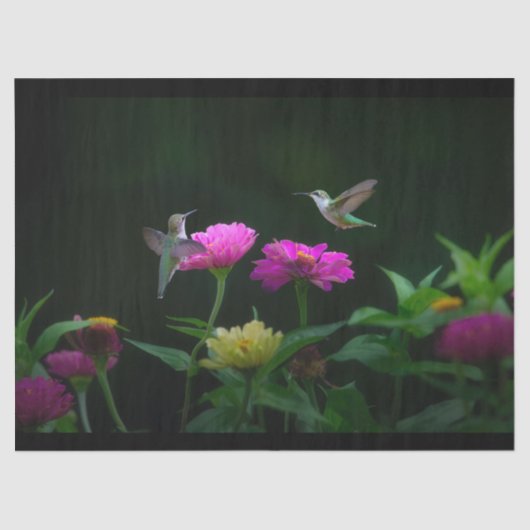 Zwei Hummingbirds-Gewebepapier Seidenpapier (Vorderseite)