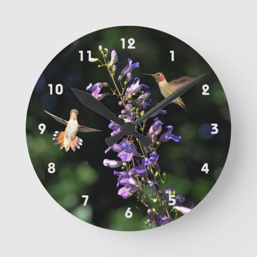 Zwei Hummingvögel fliegen mit Blume, Wall Clock Runde Wanduhr (Vorderseite)