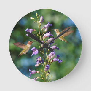 Zwei Hummingvögel fliegen mit Blume, Wall Clock Runde Wanduhr