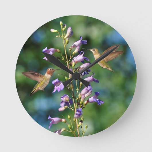 Zwei Hummingvögel fliegen mit Blume, Wall Clock Runde Wanduhr (Vorderseite)