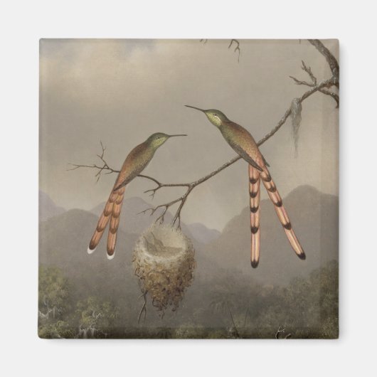 Zwei Hummingvögel mit ihrem Jungen Magnet (Vorne)