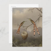 Zwei Hummingvögel mit ihrem Jungen Postkarte (Vorne/Hinten)