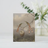 Zwei Hummingvögel mit ihrem Jungen Postkarte (Stehend Vorderseite)