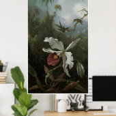 Zwei Hummingvögel über einem weißen Orchid der 187 Poster (Heimbüro)