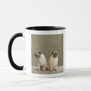 Zwei Hunde, die auf einer Tabelle aufwerfen Tasse