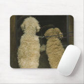 Zwei Hunde, die nach hinten schauen Mousepad (Mit Mouse)