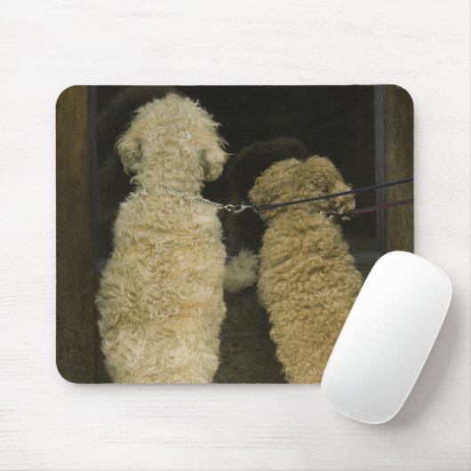 Zwei Hunde, die nach hinten schauen Mousepad (Mit Mouse)