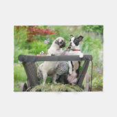 Zwei Hunde einen Mops Welpen und Boston Terrier in Fleecedecke (Vorderseite (Horizontal))