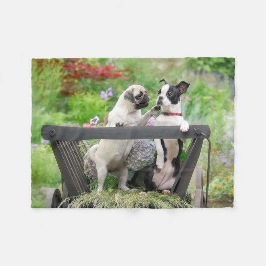 Zwei Hunde einen Mops Welpen und Boston Terrier in Fleecedecke (Vorderseite (Horizontal))