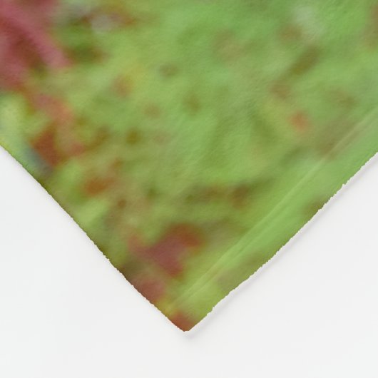 Zwei Hunde einen Mops Welpen und Boston Terrier in Fleecedecke (Ecke)