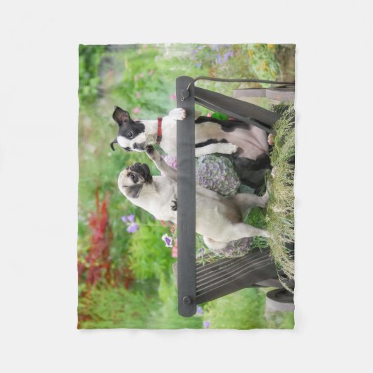 Zwei Hunde einen Mops Welpen und Boston Terrier in Fleecedecke (Vorderseite)