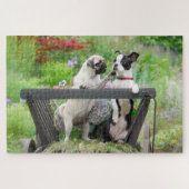 Zwei Hunde einen Mops Welpen und Boston Terrier in Puzzle (Horizontal)