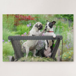 Zwei Hunde einen Mops Welpen und Boston Terrier in Puzzle