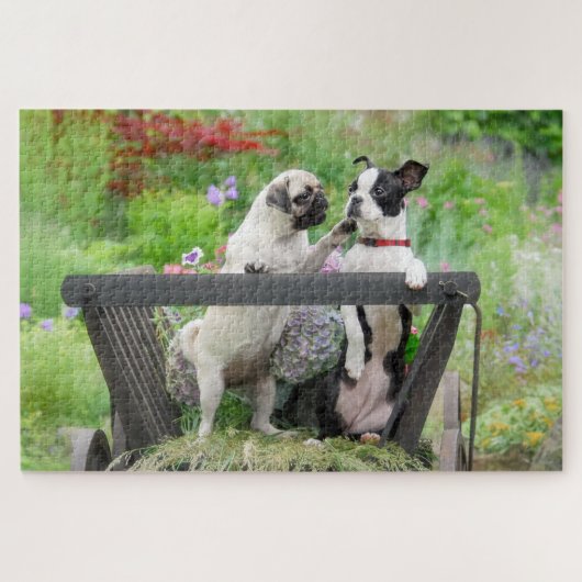 Zwei Hunde einen Mops Welpen und Boston Terrier in Puzzle (Horizontal)