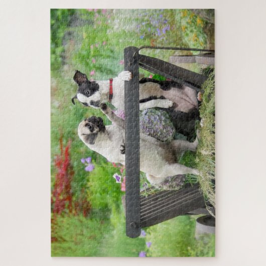 Zwei Hunde einen Mops Welpen und Boston Terrier in Puzzle (Vertikal)