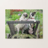 Zwei Hunde einen Mops Welpen und Boston Terrier in Puzzle (Horizontal)