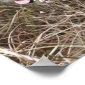 Zwei Hunde | Field, Houston, Texas Poster (Ecke)