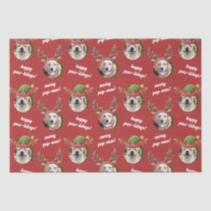 Zwei Hunde Foto Rentier Antler Frohe Weihnachts Ro Seidenpapier
