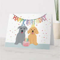 Zwei Hunde Geburtstagsparty