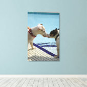 Zwei Hunde küssen am Pool Leinwanddruck (Insitu (Holzboden))