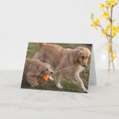 Zwei Hunde löschen Gruß-Karte Karte (Gelbe Blume)