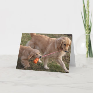 Zwei Hunde löschen Gruß-Karte Karte