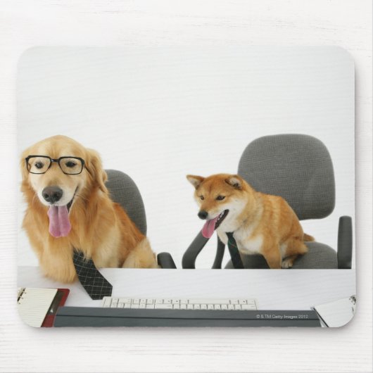 Zwei Hunde mit Krawatte und Brille, auf 2 sitzen Mousepad (Vorne)