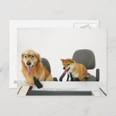 Zwei Hunde mit Krawatte und Brille, auf 2 sitzen Postkarte (Vorne/Hinten)
